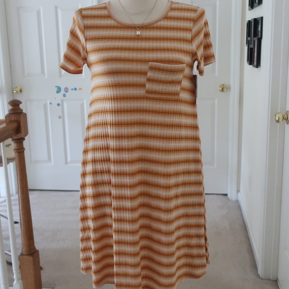 NWT striped Lularoe Carly XS
